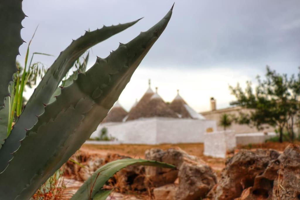 فيلا I Trulli D'A Ross سيغلي ميسابيكا المظهر الخارجي الصورة